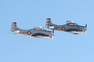 T28s_9064.jpg