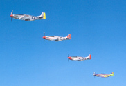 merMustangs2.jpg