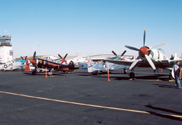 YCAwarbirds.jpg