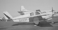 ehbeech35.jpg